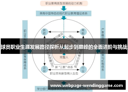 球员职业生涯发展路径探析从起步到巅峰的全面进阶与挑战