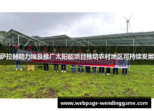 萨拉赫助力埃及推广太阳能项目推动农村地区可持续发展