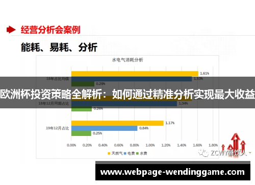 欧洲杯投资策略全解析：如何通过精准分析实现最大收益