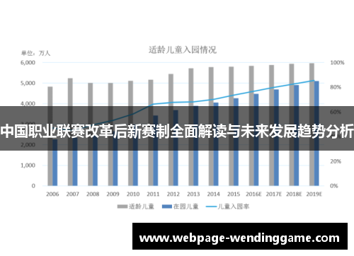 中国职业联赛改革后新赛制全面解读与未来发展趋势分析