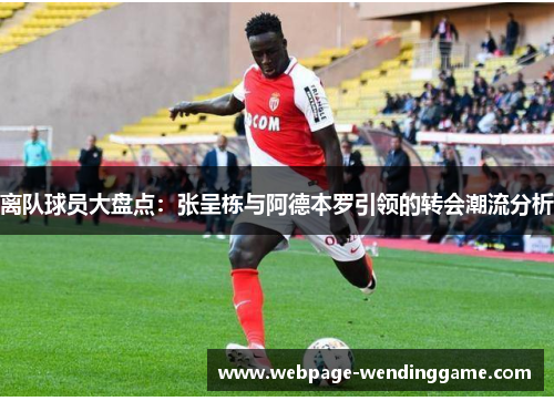 离队球员大盘点：张呈栋与阿德本罗引领的转会潮流分析