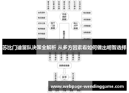 苏比门迪留队决策全解析 从多方因素看如何做出明智选择