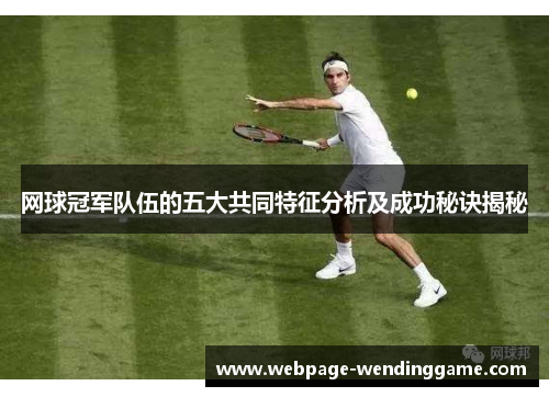 网球冠军队伍的五大共同特征分析及成功秘诀揭秘