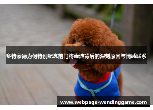 多特蒙德为何特别纪念前门将泰迪背后的深刻原因与情感联系