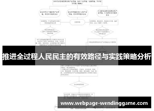 推进全过程人民民主的有效路径与实践策略分析