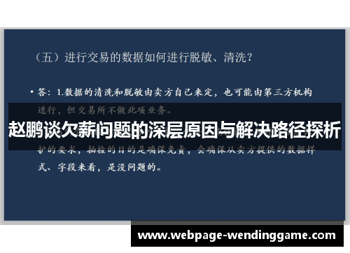 赵鹏谈欠薪问题的深层原因与解决路径探析