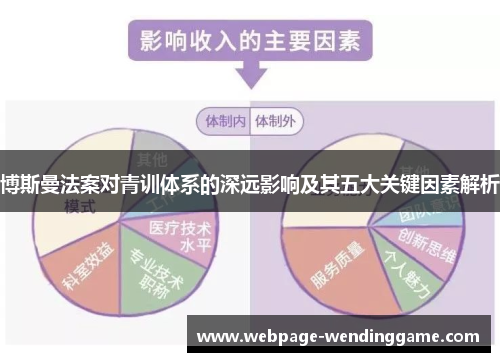 博斯曼法案对青训体系的深远影响及其五大关键因素解析