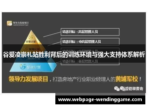 谷爱凌崇礼站胜利背后的训练环境与强大支持体系解析 谷爱凌崇礼站胜利背后的训练环境与强大支持体系解析