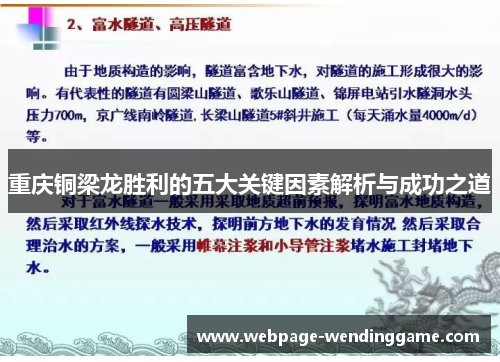 重庆铜梁龙胜利的五大关键因素解析与成功之道