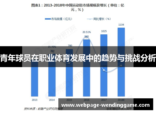 青年球员在职业体育发展中的趋势与挑战分析