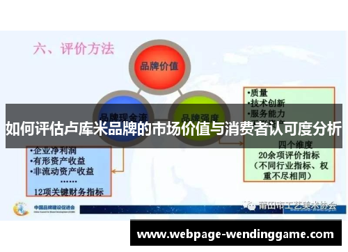 如何评估卢库米品牌的市场价值与消费者认可度分析
