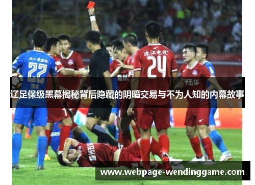 辽足保级黑幕揭秘背后隐藏的阴暗交易与不为人知的内幕故事
