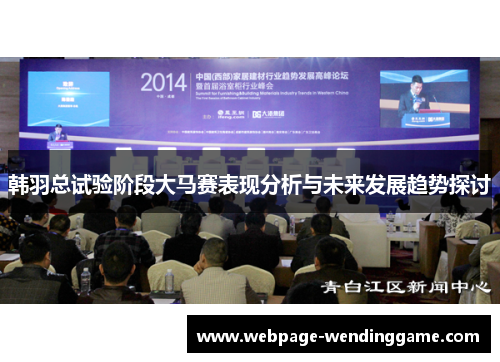 韩羽总试验阶段大马赛表现分析与未来发展趋势探讨